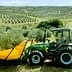 Green tractor equipped with olive harvesting equipment in an olive grove. - Olive Oil Times