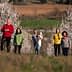 Group of six people walking through a blooming orchard with white flowers on trees. - Olive Oil Times