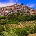 A hilltop village with stone buildings and olive groves in the foreground under a blue sky. - Olive Oil Times