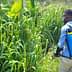 Individual wearing a backpack sprayer while tending to tall grass in a field. - Olive Oil Times