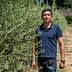 Man in a blue polo shirt standing between rows of olive trees in a field. - Olive Oil Times