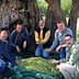 Five men sitting on the ground holding olives in their hands near an olive tree. - Olive Oil Times