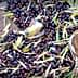 Two birds resting on a bed of freshly harvested olives and leaves. - Olive Oil Times