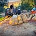 Workers loading large burlap sacks of olives onto a truck during the harvesting process. - Olive Oil Times