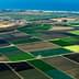 Aerial view of agricultural fields with various shades of green and brown, bordered by a coastline and ocean. - Olive Oil Times