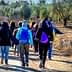A group of people walking along a dirt path in an olive grove, wearing winter clothing and backpacks. - Olive Oil Times
