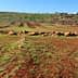 View of agricultural fields with brown soil and green grass, featuring rocky terrain in the foreground. - Olive Oil Times