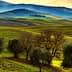 Scenic view of rolling green hills with olive trees in the foreground under a cloudy sky. - Olive Oil Times