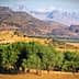 Scenic view of mountains with olive trees in the foreground and a clear sky. - Olive Oil Times