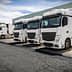 Four white delivery trucks parked in a row at a loading dock area. - Olive Oil Times