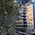 Mechanical olive harvesting equipment positioned among olive trees in an orchard. - Olive Oil Times