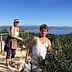 Two individuals harvesting olives from trees in a coastal area with a view of the sea. - Olive Oil Times