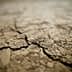 Close-up view of cracked dry soil surface with visible texture and patterns. - Olive Oil Times