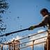 Worker using a mechanical tool to harvest olives from a tree while standing on a platform. - Olive Oil Times