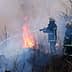Two firefighters using hoses to extinguish flames during a wildfire in a wooded area. - Olive Oil Times