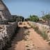 Dirt path flanked by stone walls leading through an agricultural area with greenery. - Olive Oil Times