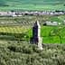 An ancient stone tower stands amidst olive groves and green fields in a rural landscape. - Olive Oil Times