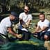 Three men collecting olives in a field, kneeling on the ground with green olives in their hands. - Olive Oil Times