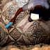 An archaeologist using a tool to clean an intricate ancient mosaic floor. - Olive Oil Times