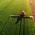 Aerial view of an agricultural sprayer applying treatment to a green field. - Olive Oil Times