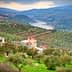 Scenic view of olive groves on hillsides with a river winding through the valley. - Olive Oil Times