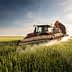 Red tractor applying pesticide in a wheat field under a clear sky. - Olive Oil Times