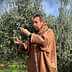 Man in a brown cloak harvesting olives from a tree in an olive grove. - Olive Oil Times