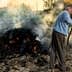 Individual tending to a burning pile of brush in an outdoor setting with smoke rising. - Olive Oil Times