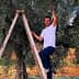Man standing on a wooden ladder reaching for olives on an olive tree. - Olive Oil Times