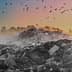 A landfill site with a large mound of waste and birds flying in the sky at sunset. - Olive Oil Times