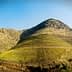 Vineyard landscape featuring terraced hills with rows of grapevines under a clear blue sky. - Olive Oil Times