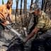 Two men using chainsaws to cut a fallen tree in a burned area after a wildfire. - Olive Oil Times