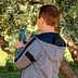 Individual photographing an olive tree with a smartphone in a natural setting. - Olive Oil Times