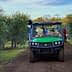 Utility vehicle used for olive harvesting in an olive grove with workers gathering olives. - Olive Oil Times