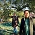 Individuals participating in olive harvesting under an olive tree in an orchard. - Olive Oil Times