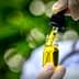 Person holding a dropper above a glass bottle filled with yellow oil. - Olive Oil Times