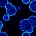 Abstract image of blue cells with glowing edges on a black background. - Olive Oil Times