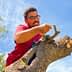 Individual using a pruning tool on an olive tree branch under a clear blue sky. - Olive Oil Times