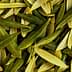 A close-up view of a pile of green and yellow olive leaves arranged together. - Olive Oil Times