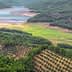 Aerial view of olive groves and a reservoir surrounded by hills and greenery. - Olive Oil Times