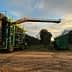 Olive harvesting machine with a long arm positioned near a collection bin in an olive grove. - Olive Oil Times