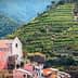 Terraced vineyards on a hillside near a small village in Cinque Terre, Italy. - Olive Oil Times