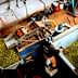Worker processing olives in a facility with machinery and green olives in containers. - Olive Oil Times