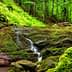 Small waterfall flowing over moss-covered rocks in a forested area. - Olive Oil Times