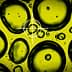 Close-up image of oil droplets on a yellow background with a focus circle overlay. - Olive Oil Times