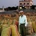 An older man wearing traditional attire stands among burlap sacks filled with an unspecified product. - Olive Oil Times