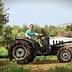 A man with a beard driving a tractor through an olive grove with trees in the background. - Olive Oil Times