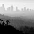 Silhouette of the Los Angeles skyline with palm trees in the foreground, captured in black and white. - Olive Oil Times