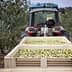 Tractor in an olive grove with bins filled with harvested olives in the foreground. - Olive Oil Times