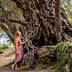 A woman in a pink dress standing beside a large, gnarled olive tree with intricate roots. - Olive Oil Times